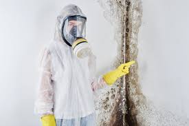 Mold Documentation for Insurance Claims in Wyndmoor, PA